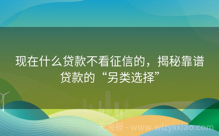 现在什么贷款不看征信的，揭秘靠谱贷款的“另类选择”