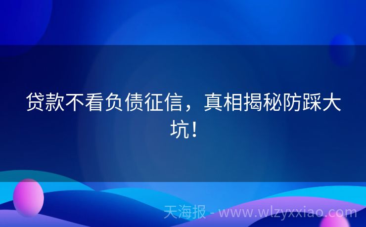 贷款不看负债征信，真相揭秘防踩大坑！