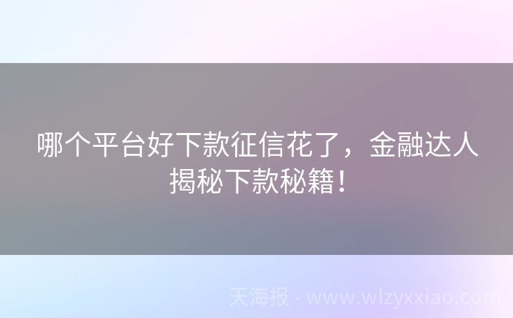 哪个平台好下款征信花了，金融达人揭秘下款秘籍！