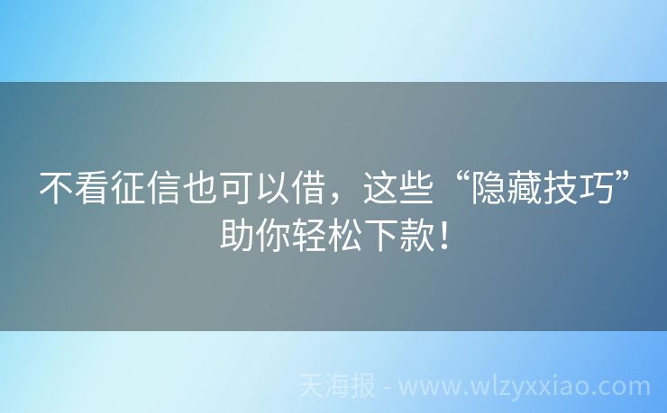不看征信也可以借，这些“隐藏技巧”助你轻松下款！