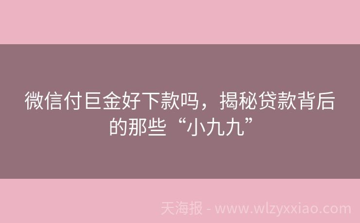 微信付巨金好下款吗，揭秘贷款背后的那些“小九九”