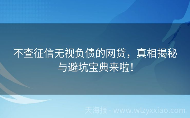 不查征信无视负债的网贷，真相揭秘与避坑宝典来啦！