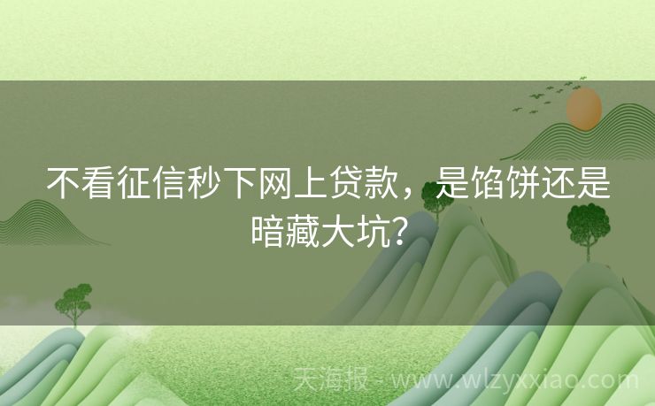 不看征信秒下网上贷款，是馅饼还是暗藏大坑？