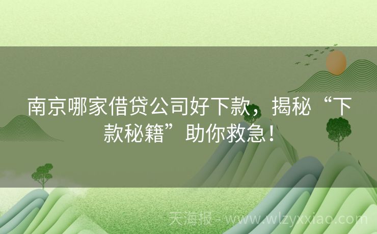 南京哪家借贷公司好下款，揭秘“下款秘籍”助你救急！