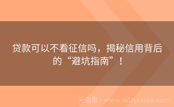 贷款可以不看征信吗，揭秘信用背后的“避坑指南”！
