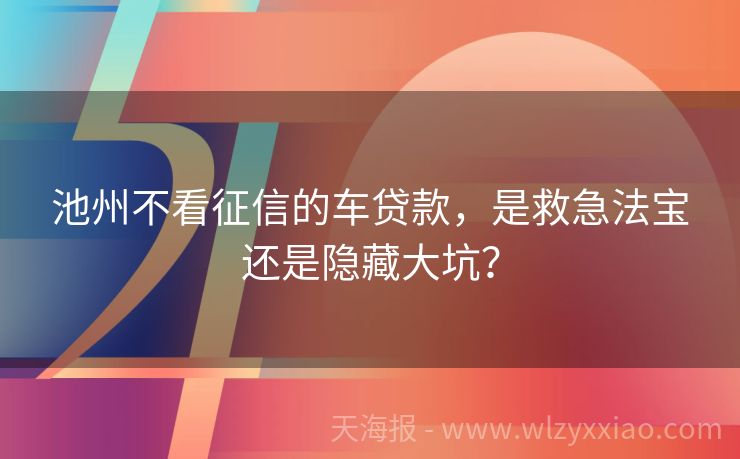 池州不看征信的车贷款，是救急法宝还是隐藏大坑？