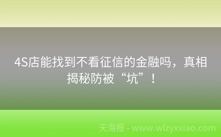 4S店能找到不看征信的金融吗，真相揭秘防被“坑”！