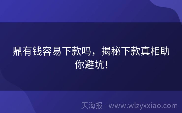 鼎有钱容易下款吗，揭秘下款真相助你避坑！