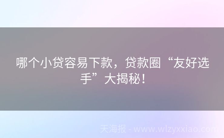 哪个小贷容易下款，贷款圈“友好选手”大揭秘！