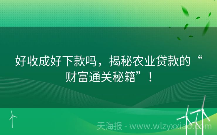 好收成好下款吗，揭秘农业贷款的“财富通关秘籍”！
