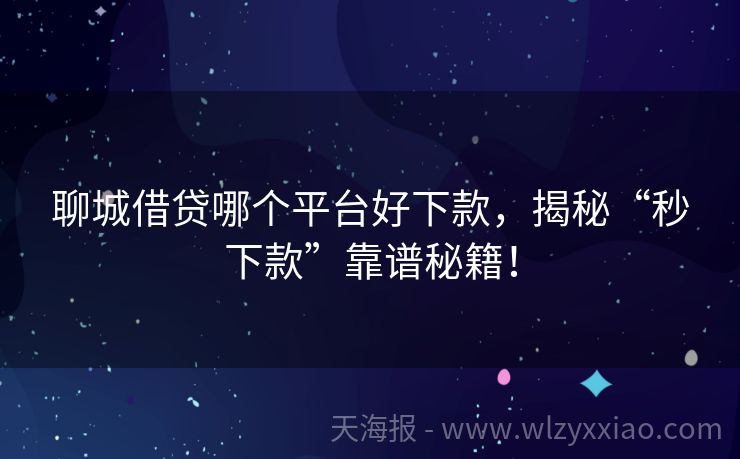 聊城借贷哪个平台好下款，揭秘“秒下款”靠谱秘籍！