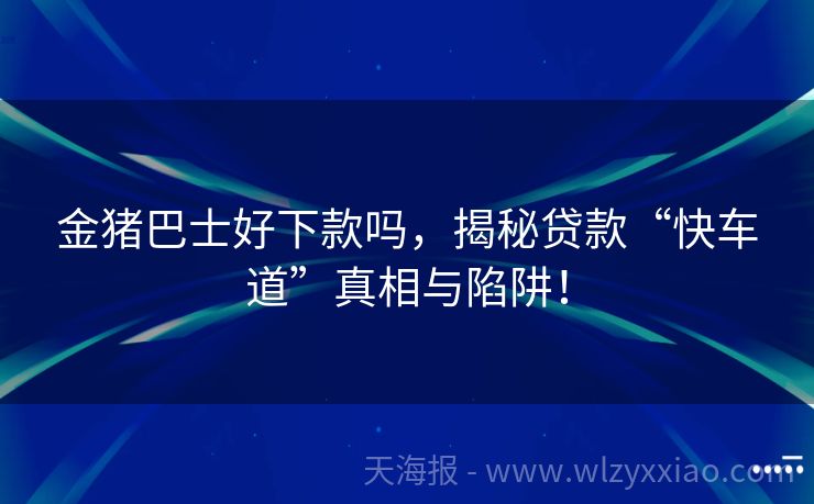 金猪巴士好下款吗，揭秘贷款“快车道”真相与陷阱！
