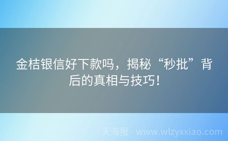 金桔银信好下款吗，揭秘“秒批”背后的真相与技巧！