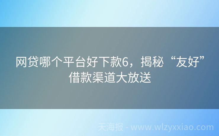 网贷哪个平台好下款6，揭秘“友好”借款渠道大放送