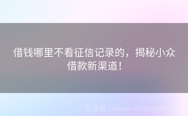 借钱哪里不看征信记录的，揭秘小众借款新渠道！