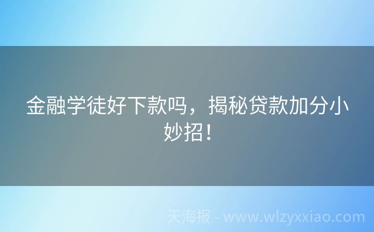 金融学徒好下款吗，揭秘贷款加分小妙招！