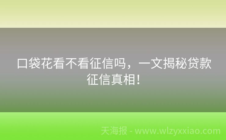 口袋花看不看征信吗，一文揭秘贷款征信真相！