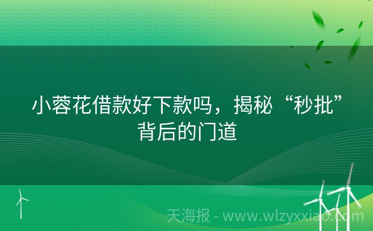小蓉花借款好下款吗，揭秘“秒批”背后的门道