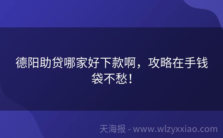 德阳助贷哪家好下款啊，攻略在手钱袋不愁！