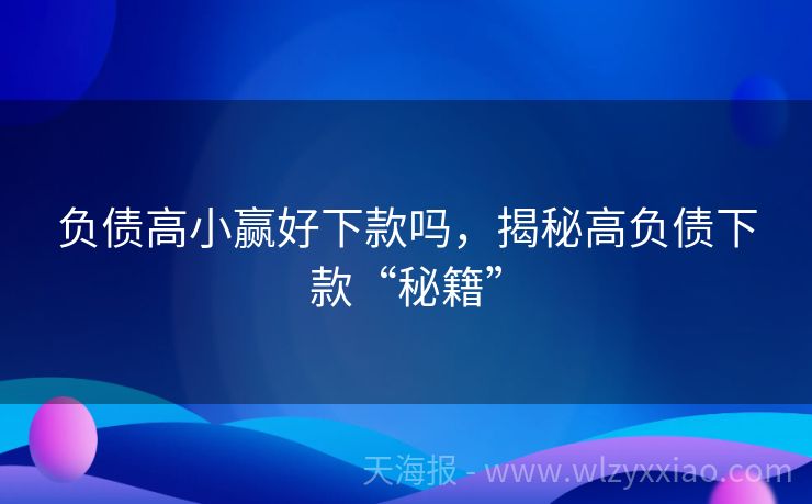 负债高小赢好下款吗，揭秘高负债下款“秘籍”