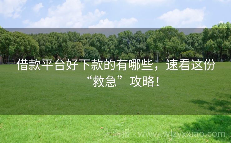借款平台好下款的有哪些，速看这份“救急”攻略！