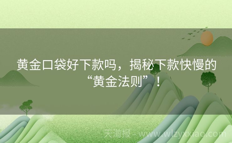 黄金口袋好下款吗，揭秘下款快慢的“黄金法则”！