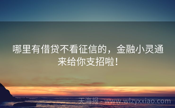 哪里有借贷不看征信的，金融小灵通来给你支招啦！