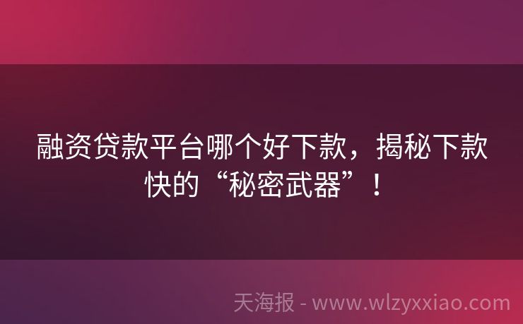 融资贷款平台哪个好下款，揭秘下款快的“秘密武器”！