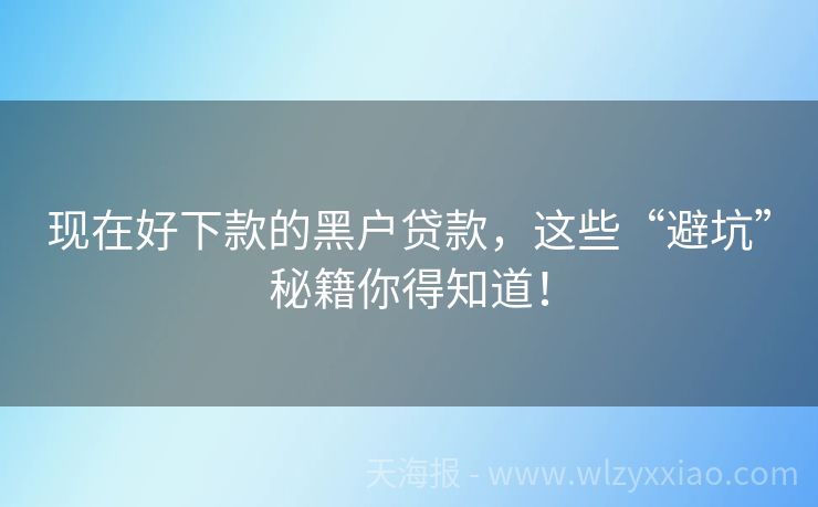 现在好下款的黑户贷款，这些“避坑”秘籍你得知道！