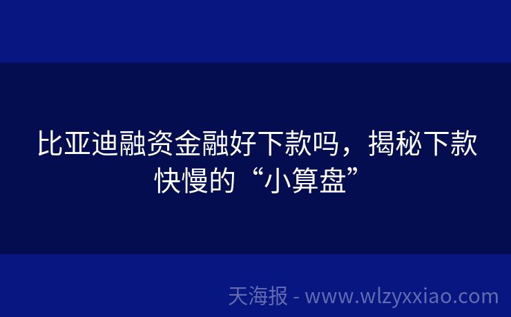 比亚迪融资金融好下款吗，揭秘下款快慢的“小算盘”