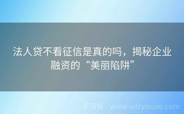 法人贷不看征信是真的吗，揭秘企业融资的“美丽陷阱”