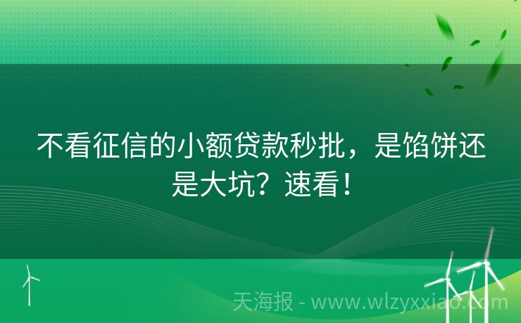不看征信的小额贷款秒批，是馅饼还是大坑？速看！