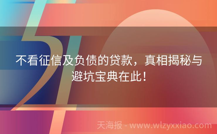 不看征信及负债的贷款，真相揭秘与避坑宝典在此！