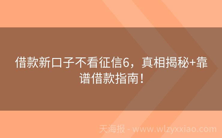 借款新口子不看征信6，真相揭秘+靠谱借款指南！