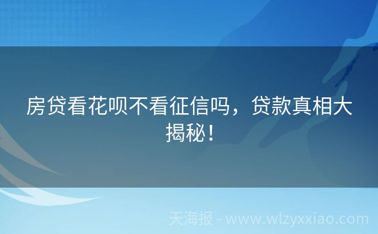 房贷看花呗不看征信吗，贷款真相大揭秘！