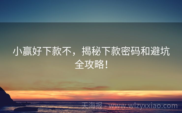 小赢好下款不，揭秘下款密码和避坑全攻略！