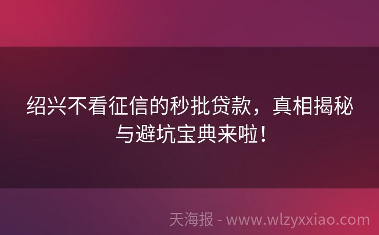 绍兴不看征信的秒批贷款，真相揭秘与避坑宝典来啦！