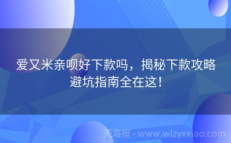 爱又米亲呗好下款吗，揭秘下款攻略避坑指南全在这！