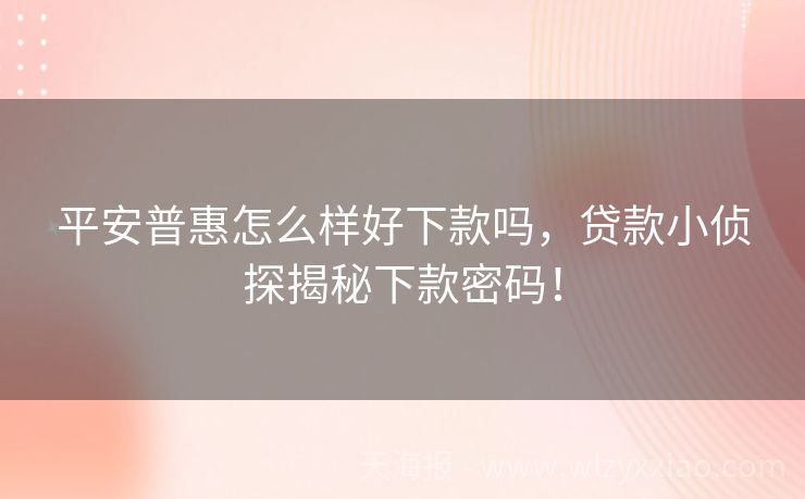 平安普惠怎么样好下款吗，贷款小侦探揭秘下款密码！