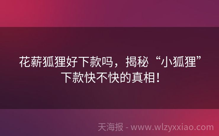 花薪狐狸好下款吗，揭秘“小狐狸”下款快不快的真相！