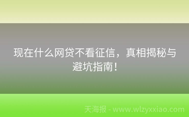 现在什么网贷不看征信，真相揭秘与避坑指南！