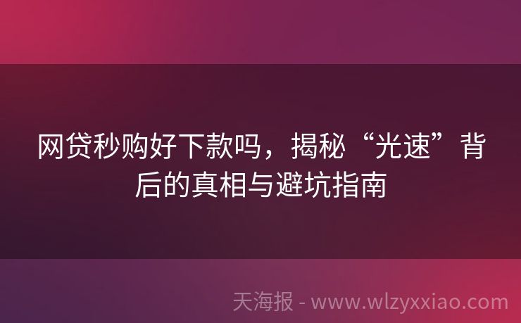 网贷秒购好下款吗，揭秘“光速”背后的真相与避坑指南