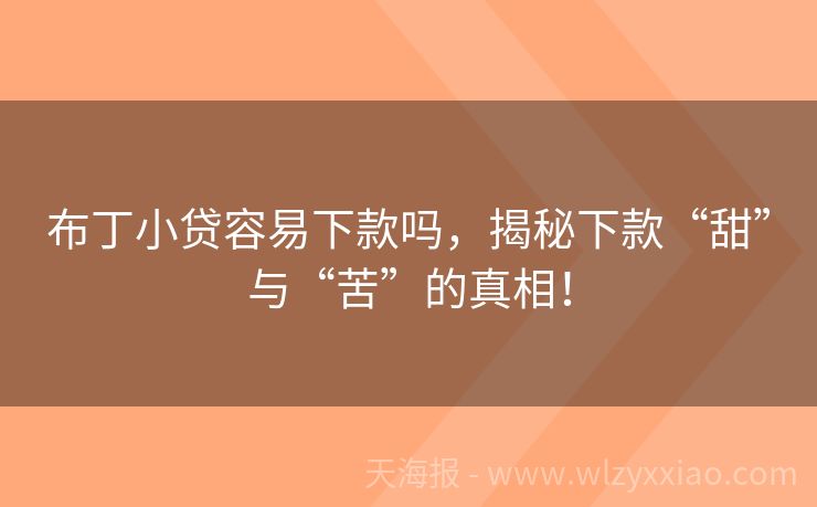 布丁小贷容易下款吗，揭秘下款“甜”与“苦”的真相！