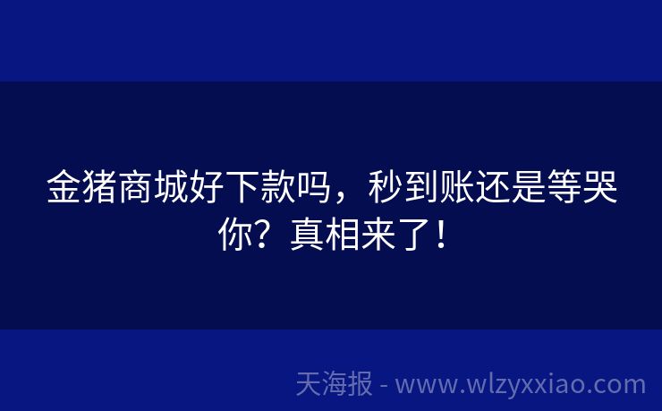 金猪商城好下款吗，秒到账还是等哭你？真相来了！