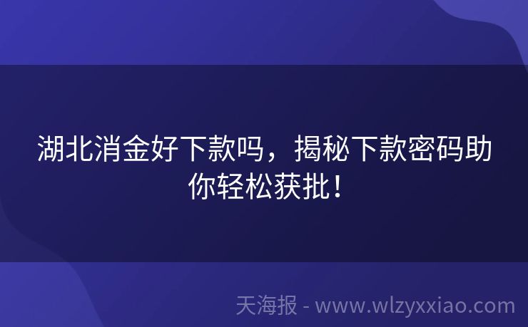 湖北消金好下款吗，揭秘下款密码助你轻松获批！