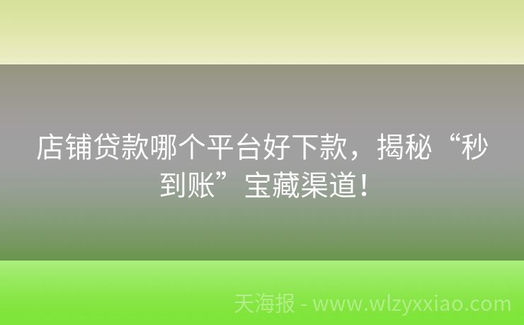 店铺贷款哪个平台好下款，揭秘“秒到账”宝藏渠道！