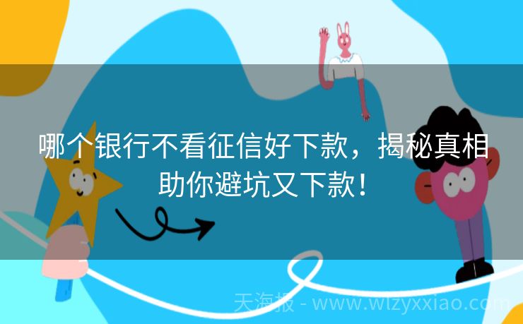 哪个银行不看征信好下款，揭秘真相助你避坑又下款！