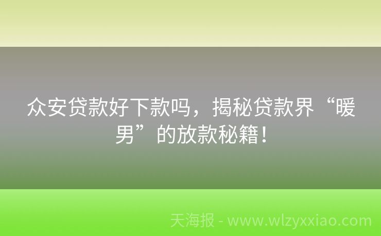 众安贷款好下款吗，揭秘贷款界“暖男”的放款秘籍！