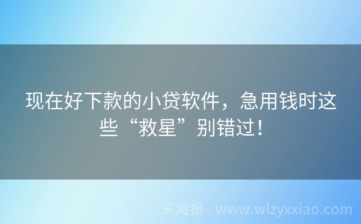 现在好下款的小贷软件，急用钱时这些“救星”别错过！
