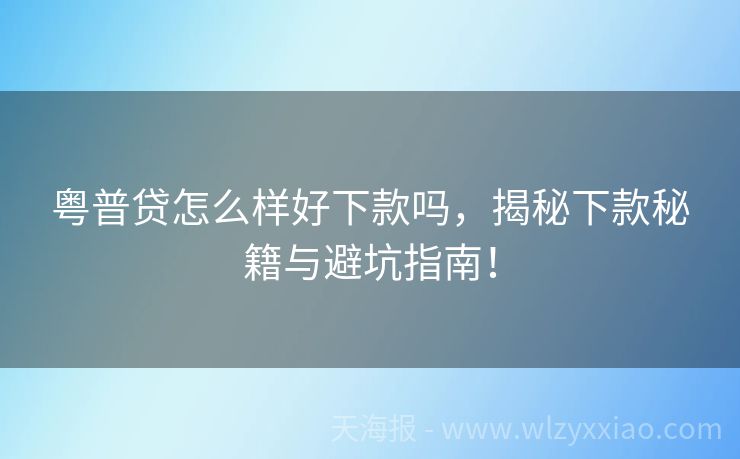 粤普贷怎么样好下款吗，揭秘下款秘籍与避坑指南！